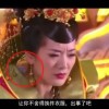 一肖中特期期准资料免费公开课